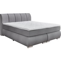 Intro Boxspringbett, Stoff Intro Boxspringbett, Stoff von Intro