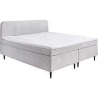 Intro Boxspringbett LIMA, Cord von Intro