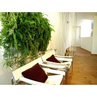 Vertikaler Garten Dreifach-Pflanzer - Invivo Diy Hängender Wohnwand Platzsparendes Modulares Geschenk Für Pflanzenliebhaber von InvivoDesign