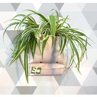 Vertikaler Mini-Blumentopf Aus Plane - Invivo Diy-Hängegarten Wohnwand Platzsparendes Modulares Geschenk Für Pflanzenliebhaber von InvivoDesign