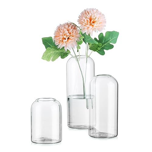 Inweder Glasvasen für Tischdeko Weihnachten Blumenvase - Satz von 3 Modernen Blumen Vase Glas Glaszylinder Kleine Vasen Mini Glasvase für Hochzeit Brautparty Event Geburtstag Deko Wohnzimmer von Inweder