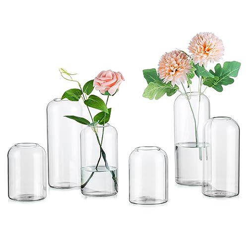 Inweder Glasvasen für Tischdeko Weihnachten Blumenvase - Satz von 6 Modernen Blumen Vase Glas Glaszylinder Kleine Vasen Mini Glasvase für Hochzeit Brautparty Event Geburtstag Deko Wohnzimmer von Inweder