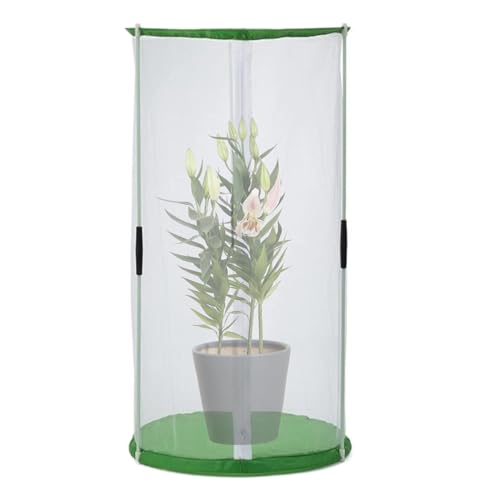 Butterfly Habitat, Foldable Mesh Tent with Zipper, Portable Plant Cover Cage for Raising, Hatching, Rearing, Kids Science Projects, Outdoor Use, 15.75x11.81x11.81 Inches Butterfly Habitat, Foldable Mesh Tent with Zipper, Portable Plant Cover Cage for Raising, Hatching, Rearing, Kids Science Projects, Outdoor Use, 15.75x11.81x11.81 Inches von Iouyjiu