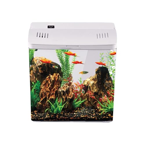 Iouyjiu Betta Fischbecken | Kleines Aquarium Becken | Deko Für Schreibtisch Wohnzimmer Büro Tisch | Haustier Für Schildkröten Aquaterrarium von Iouyjiu