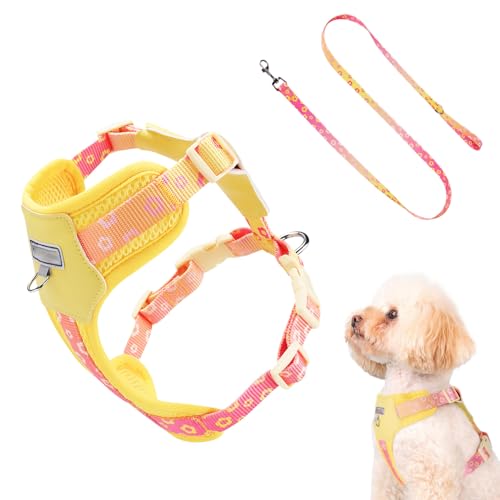 Iouyjiu Hundegeschirr - Brustgeschirr Zum Sicheren Spazierengehen,Ausbruchssicher Atmungsaktiv Verstellbar Für Große Rassen Tägliche Spaziergänge Outdoor Sport Training Park Auto Reisen von Iouyjiu