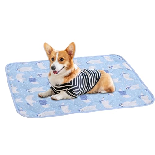 Iouyjiu Hundekühlmatte,Einfach Waschbare Kühlmatte Für Hunde - 50x40 cm Leicht Waschbare Tragbare Bettdecke Für Welpen Kätzchen Katzen Pelzfreunde von Iouyjiu