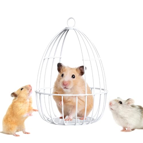 Iouyjiu Meerschweinchen Hängematte | Eisendraht Gitter Spielzeug Für Hamster,Schlafschaukel Verstecknest Für Zwerghase Eichhörnchen Sugar Glider Kleintiere Meerschweinchen Hamster von Iouyjiu