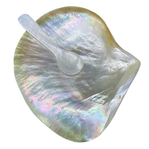 Ipetboom 1 Satz Muschelplatten und Löffel Servierteller für Desserts und Gewürze für Zuhause und Gastronomie mit Praktischem Löffel aus Hochwertigem Muschelmaterial von Ipetboom