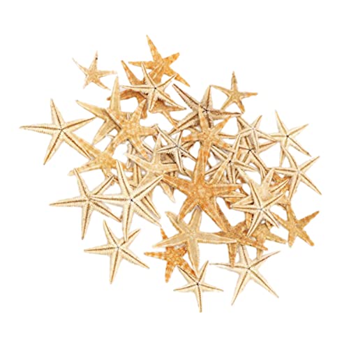 Ipetboom 1 Schachtel Micro Ornament Mini Seestern Deko Teilig Beige Natürliche Landschaftsskulptur für DIY Basteln Wohnkultur Strand Meer Thema von Ipetboom