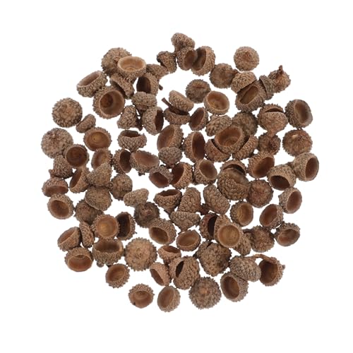 Ipetboom 100 Stück Natürliche Eichelschalen Dekoration Set für Herbstdeko Weihnachtsbaum Deko Partydeko DIY Basteln Hochzeit Tischstreuung Umweltfreundlich und Vielseitig Ipetboom 100 Stück Natürliche Eichelschalen Dekoration Set für Herbstdeko Weihnachtsbaum Deko Partydeko DIY Basteln Hochzeit Tischstreuung Umweltfreundlich und Vielseitig von Ipetboom