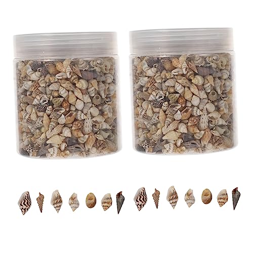 Ipetboom 2 Boxen Natürliche Muschelschalen Füllmaterial für Epoxidharz Dekorative Bastelaccessoires für DIY Projekte Schmuck Vasen und von Ipetboom
