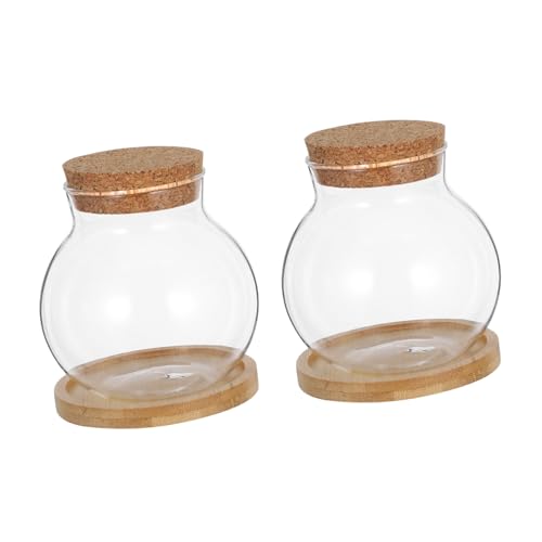 Ipetboom 2Er Set Hydrokulturvase Wasserpflanzflasche Kleines Fischglas Kleines Aquarium Hydrokultur Fischterrarium Glas Betta Tank Desktop Terrarium Hydrokultur Wasserpflanzer von Ipetboom
