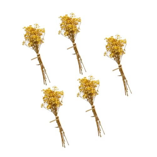 Ipetboom 5 Stück Teiliges Babysbreath Bundles Getrocknete Gypsophila Blumen Kleine Sträuße für Raumdekoration Vase Geschenkbox Natürliche Farben Pflegefrei von Ipetboom