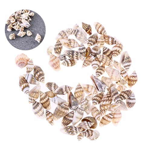 Ipetboom 50 Stück Natürliche Kleine Conch Muscheln Dekoration für Zuhause und Aquarium Bastelbedarf Strand Deko Meer DIY Handwerk Zubehör Ipetboom 50 Stück Natürliche Kleine Conch Muscheln Dekoration für Zuhause und Aquarium Bastelbedarf Strand Deko Meer DIY Handwerk Zubehör von Ipetboom