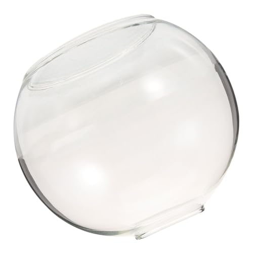 Ipetboom Doppelöffnung Glas Kugel Lampenschirm Rund Ersatz Lampenabdeckung Leuchten Vintage Stil Transparent Einfach zu Reinigen Einsetzbar von Ipetboom