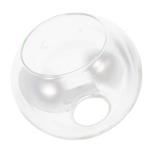 Ipetboom Doppelöffnung Glas Lampenschirm Runde Kugel Transparent Klarglas Ersatz Lampenabdeckung für Pendelleuchte Winddicht Einfach zu Reinigen Elegant Innenraum Dekor von Ipetboom