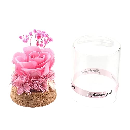 Ipetboom Ewige in Glasdome Geschenkbox Kreatives Valentin Geschenk Für Freundin Mutter Oma Konservierte Blumen Dekoration Halte Für Immer Besonderen Moment Lebendig Ipetboom Ewige in Glasdome Geschenkbox Kreatives Valentin Geschenk Für Freundin Mutter Oma Konservierte Blumen Dekoration Halte Für Immer Besonderen Moment Lebendig von Ipetboom