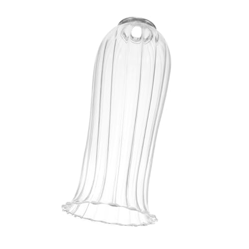 Ipetboom Glas Lampenschirm Mit Offener Struktur Für Tischleuchten Und Wandleuchten Transparent Für Hochzeitsdekoration Und Gemütliche Atmosphäre Ipetboom Glas Lampenschirm Mit Offener Struktur Für Tischleuchten Und Wandleuchten Transparent Für Hochzeitsdekoration Und Gemütliche Atmosphäre von Ipetboom