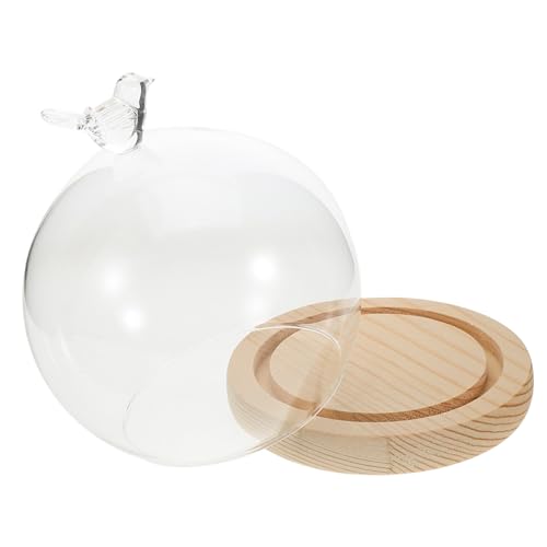 Ipetboom Glasvitrine mit Holzsockel Transparente Glaskuppel mit Vogelförmigem Knauf Dekorative Trockenblumen Ewige blumen abdeckung Staubdichte Vitrine für DIY arrangements Stilvolles von Ipetboom