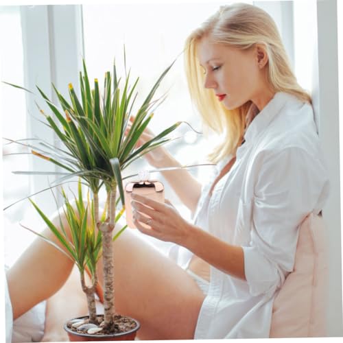 Ipetboom Mini mit Strasssteinen Kompakter Weinflakon Tragbar für Damen Geschenkidee zum Geburtstag Eleganter Roségold Mini Weinbehälter für Unterwegs Ipetboom Mini mit Strasssteinen Kompakter Weinflakon Tragbar für Damen Geschenkidee zum Geburtstag Eleganter Roségold Mini Weinbehälter für Unterwegs von Ipetboom