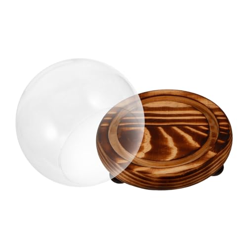 Ipetboom Transparente Glasglocke mit Holzsockel Dekorative Cloche zum Schutz und Stilvollen Präsentieren von Dekoobjekten Wohnaccessoire für Anspruchsvolle Hausdekoration Ø Staubdicht und von Ipetboom