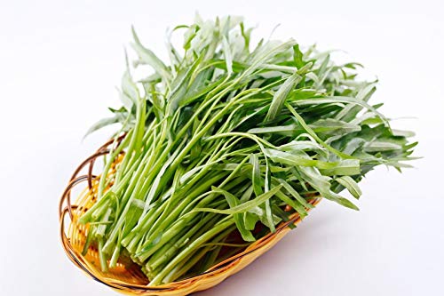 Wasserspinat (Ipomaea Aquatica) - 20 Samen - Sehr gutes Gemüse aus Asien von Ipomoea Aquatica
