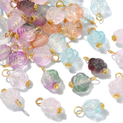 Ipotkitt 100 Stück transparente Acryl-Blumen-Charms, sprühlackiert, Acryl-Blumen-Perlen, Charms für DIY, Schmuck, Handwerk, Finden, Herstellung von Ipotkitt