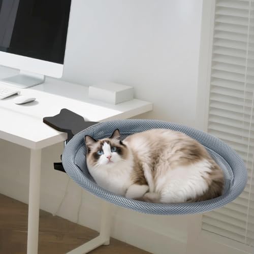 Iptienda Katzen Hängematte Katzenkorb,Katzenbett Hängebett für Katzen 360 ° drehendes, Katzenbett Schreibtisch Katzenliege Katzenhängematte Stabil Hängematte für Katzen unterstützt bis zu 20kg Iptienda Katzen Hängematte Katzenkorb,Katzenbett Hängebett für Katzen 360 ° drehendes, Katzenbett Schreibtisch Katzenliege Katzenhängematte Stabil Hängematte für Katzen unterstützt bis zu 20kg von Iptienda