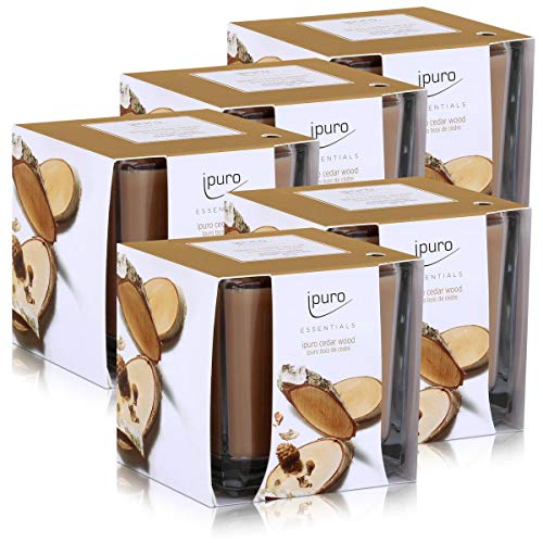 Essentials by Ipuro Duftkerze Cedar Wood 125g - Holzige Noten umschmeichelt von fruchtigen und blumigen Nuancen (5er Pack) von Ipuro