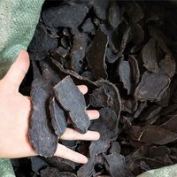100% Natürliches China He Shou Wu Fo-Ti Polygonum Multiflorum Lose Wurzelscheibe 500G | 1, 1 Pfund von IreneTeaHouse