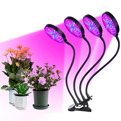 Irfora LED Grow Light für Zimmerpflanzen 60W 4-Kopf rote & Blaue LEDs Auto On & Off mit 4/8 / 12H Timer 3 Lichtmodi 5 Helligkeitsstufen IP66 wasserdichte Clip-On Schreibtischpflanze Zuchtlampen für von Irfora