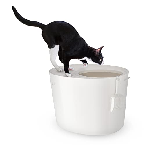 Iris Ohyama Katzenklo mit Schaufel, bis 7 kg, Weiß, mit Deckel, Katzentoilette, leicht reinigen, Für große Katzen, Kätzchen, geschlossen, XXL Toilette, BPA-frei, Cat Litter Box, Toilet, PUNT-530 Iris Ohyama Katzenklo mit Schaufel, bis 7 kg, Weiß, mit Deckel, Katzentoilette, leicht reinigen, Für große Katzen, Kätzchen, geschlossen, XXL Toilette, BPA-frei, Cat Litter Box, Toilet, PUNT-530 von Iris Ohyama