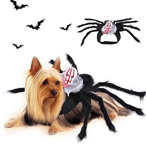 Halloween Hund Katze Haustier Cosplay Kostüm Kleidung Fledermaus Kostüm Horn Kürbis Spinne Kappe (kleine Spinnen-Kostüm, Gesichtskleidung für Katzen) von Iris Sprite