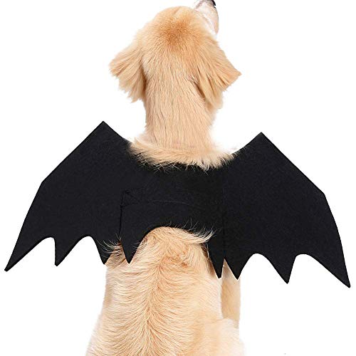 Halloween Hund Katze Haustier Cosplay Kostüm Kleidung Fledermaus Kostüm Horn Kürbis Spinne Kappe (Groß Fledermaus Flügel) von Iris Sprite