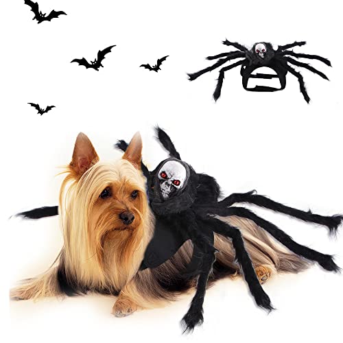 Iris Sprite, Halloween-Kostüm für Welpen / Katzen / Hunde, Hüte / Fledermausflügel von Iris Sprite