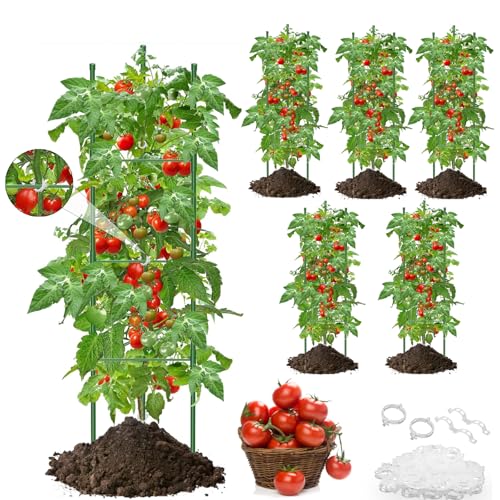 Isheurg Tomaten Rankhilfe 6 Stück,130cm Rankhilfen Gurken Kletterpflanzen,Einstellbar Höhe Garten Rankhilfe für Tomate, Gurken, Rosen, Garten,rankgitter Metall,Mit 50 Stück Pflanzenclips Isheurg Tomaten Rankhilfe 6 Stück,130cm Rankhilfen Gurken Kletterpflanzen,Einstellbar Höhe Garten Rankhilfe für Tomate, Gurken, Rosen, Garten,rankgitter Metall,Mit 50 Stück Pflanzenclips von Isheurg