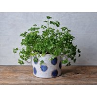 Handgemachter Keramik Übertopf, Dekoblumentopf Für Drinnen, Einzigartige Pflanztopf Mit Henkeln, Mittelgroß von IslaClayCeramics