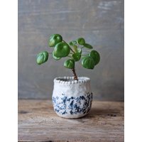 Sukkulenten Pflanzer, Mini Keramik Pflanzer Handgemachter Dekorativer Blumentopf Für Drinnen, Einzigartige Kleine Pflanztopf Sukkulenten Pflanzer, Mini Keramik Pflanzer Handgemachter Dekorativer Blumentopf Für Drinnen, Einzigartige Kleine Pflanztopf von IslaClayCeramics