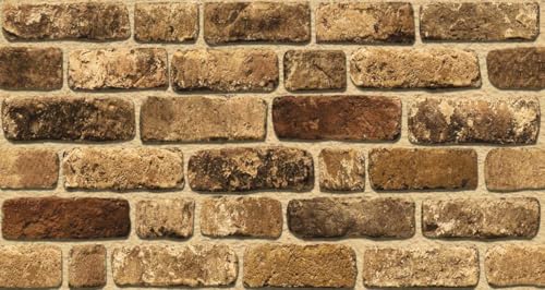 Wandverkleidung Steinoptik | 100 × 50 cm | 3D Wandpaneele Backstein Barock Klinker | EPS Styropor Verblender | Für Innenbereich | Wärmedämmend & Schalldämmend | Rustikal Braun/Beige | L1901 Wandverkleidung Steinoptik | 100 × 50 cm | 3D Wandpaneele Backstein Barock Klinker | EPS Styropor Verblender | Für Innenbereich | Wärmedämmend & Schalldämmend | Rustikal Braun/Beige | L1901 von Isodeco