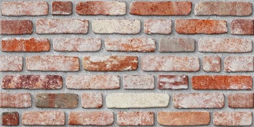 Wandverkleidung Steinoptik | 100 x 50 cm | 3D Wandpaneele Backstein Klinker Schwarz-Rot | EPS Styropor Verblender | Für Innenbereich | Schalldämmend & Wärmedämmend | B027 von Isodeco