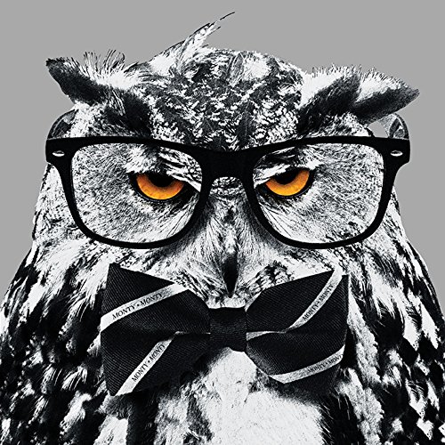 It's A WildLife Monty Leinwanddruck, 40 x 40 cm, Polyester, Mehrfarbig von It's A WildLife