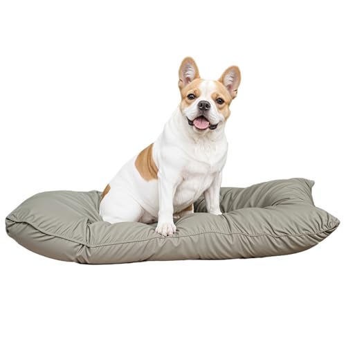 Italian Bed Linen Gepolstertes Hundekissen Maxy ELEGANT, 60x100cm, Mikrofaser, Hell Grau Italian Bed Linen Gepolstertes Hundekissen Maxy ELEGANT, 60x100cm, Mikrofaser, Hell Grau von Italian Bed Linen