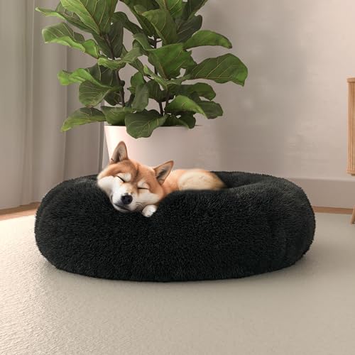 Italian Bed Linen Hundebett Dreams sogni e capricci Pets, Petrolium,60x60cm Italian Bed Linen Hundebett Dreams sogni e capricci Pets, Petrolium,60x60cm von Italian Bed Linen