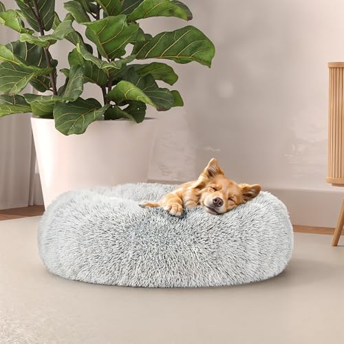 Italian Bed Linen Hundehütte Dreams für Tiere, Creme, 50x50x20 cm von Italian Bed Linen