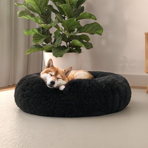 Italian Bed Linen Hundehütte Dreams für Tiere, Petrolium, 60x60x26 cm von Italian Bed Linen
