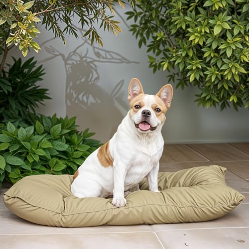 Italian Bed Linen Maxy Gestepptes Kissen für Hunde und Katzen, 60 x 100 cm, Creme Italian Bed Linen Maxy Gestepptes Kissen für Hunde und Katzen, 60 x 100 cm, Creme von Italian Bed Linen