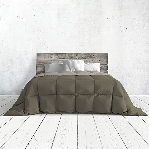 Italian Bed Linen Romantic Sommer steppdecke, einfarbig, Romantic, Stone/Champagne, 260x260cm von Italian Bed Linen