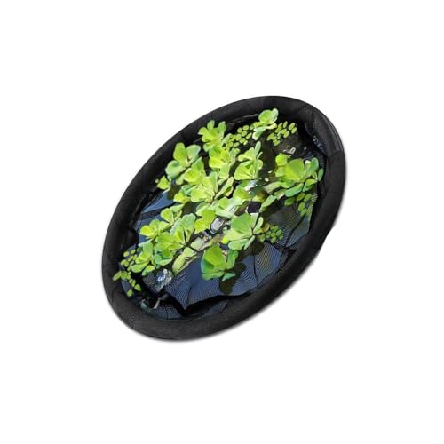 Itkcozcg Einstellbare Schwimmende Teichschutzschutzbarriere Meshing Island Anlagen Garten Dekoration Garten Wasserteich Lieferungen Schwimmender Insel Pflanzenschutzschutz Itkcozcg Einstellbare Schwimmende Teichschutzschutzbarriere Meshing Island Anlagen Garten Dekoration Garten Wasserteich Lieferungen Schwimmender Insel Pflanzenschutzschutz von Itkcozcg