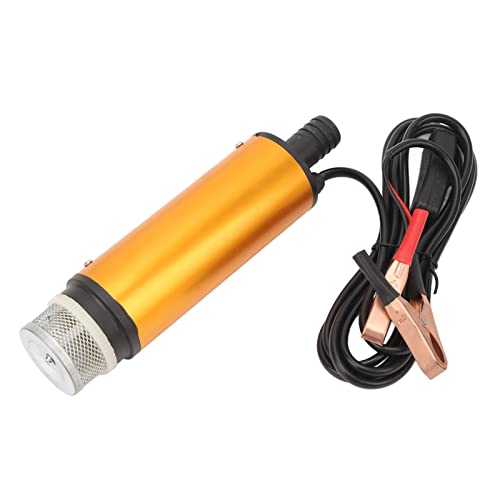 Itonash Wassertransferpumpe, 12 -l -Fluss 2m Hub 8500r Edelstahl Elektrische Taucherölwasserpumpe mit Filter, für den Tankergebnis von Feldbetrieb (24 V) von Itonash