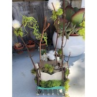 Fee Bett 2 Fee Bett 2 von ItzCountless